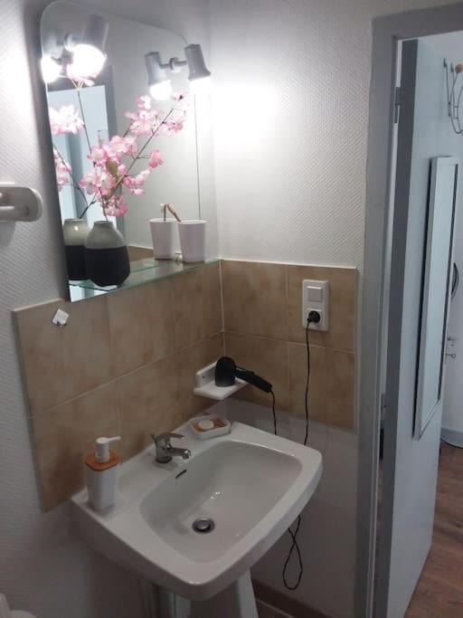 Appartement Duplexe De 1 A 4 Chambres Privees Dans Maison Le Teil Eksteriør billede