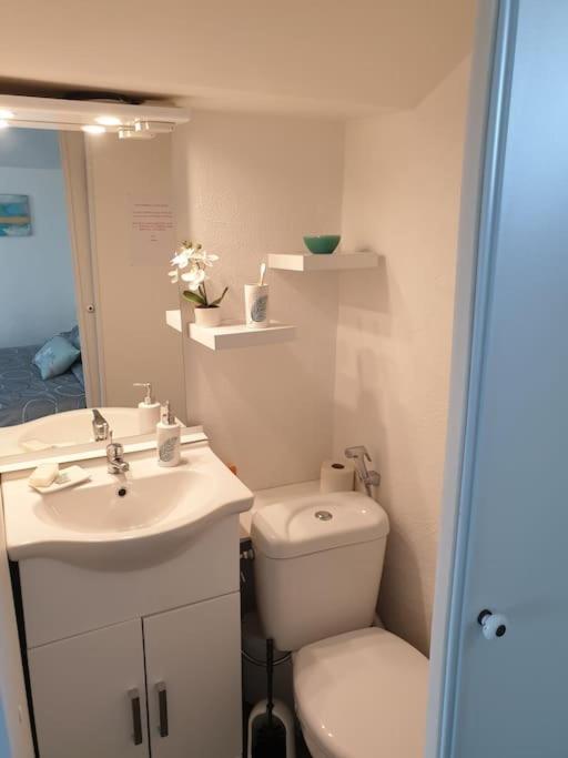 Appartement Duplexe De 1 A 4 Chambres Privees Dans Maison Le Teil Eksteriør billede