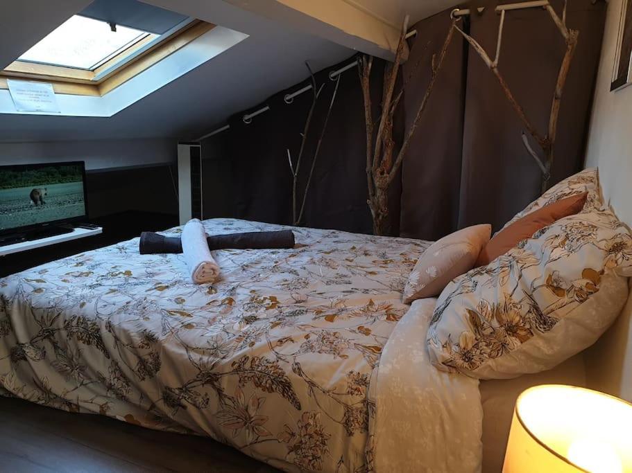 Appartement Duplexe De 1 A 4 Chambres Privees Dans Maison Le Teil Eksteriør billede