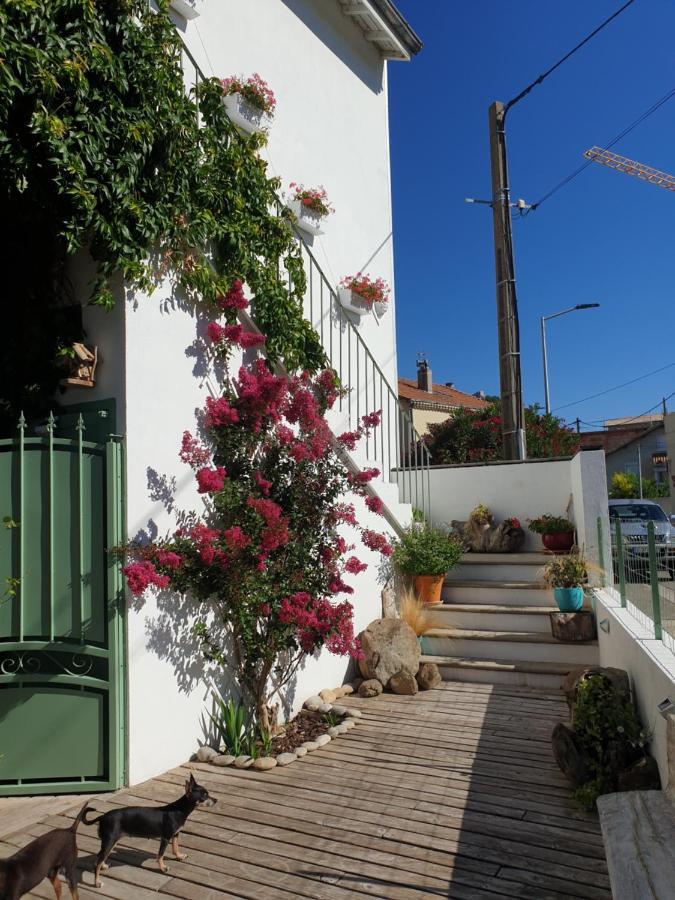 Appartement Duplexe De 1 A 4 Chambres Privees Dans Maison Le Teil Eksteriør billede